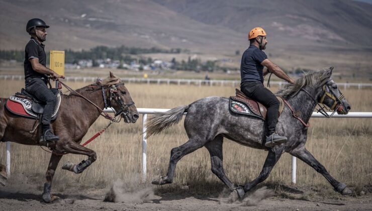 Erzurum’da Rahvan At Yarışları Heyecanı