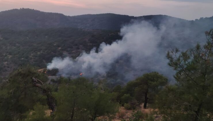 Gaziantep İslahiye’de orman yangını kontrol altına alındı, 4 dönüm alan zarar gördü
