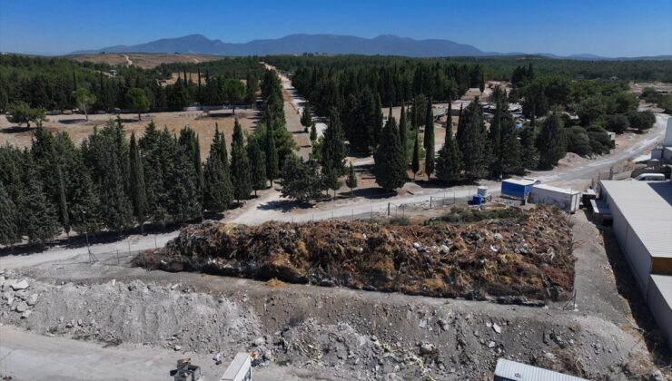 Gaziemir’de Bitki Atıkları Yangın Tehlikesi Oluşturuyor