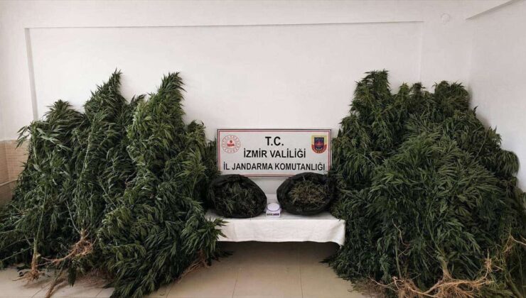 İzmir’de Uyuşturucu Operasyonu: 13 Kilo Esrar Ele Geçirildi