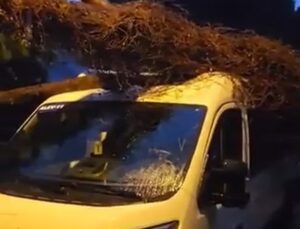 Kadıköy’de servis minibüsüne devrilen ağaç itfaiye tarafından kesilerek kaldırıldı