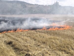 Karabük Eflani’de anız yangınını belediye itfaiyesi ve orman ekipleri söndürdü