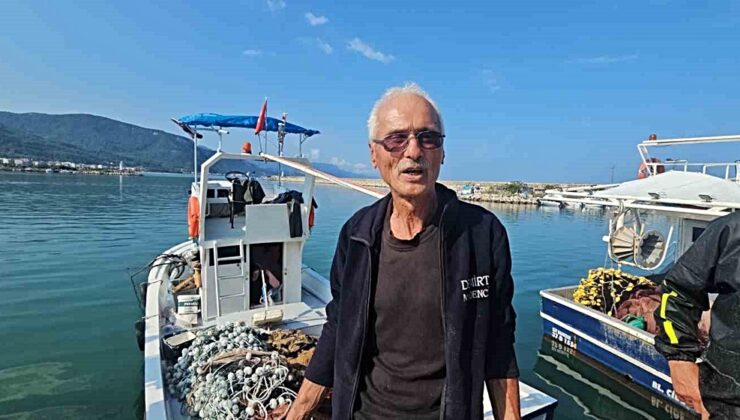 Karadeniz’de palamut bolluğu! Tanesi 75 liradan satılıyor, balıkçı “mazotu kurtaramıyoruz” diyor