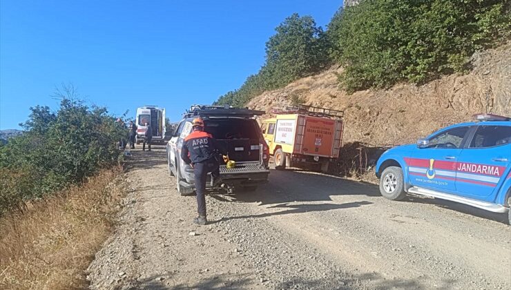 Kastamonu’da kuşburnu toplarken uçuruma yuvarlanan kişi yaralandı