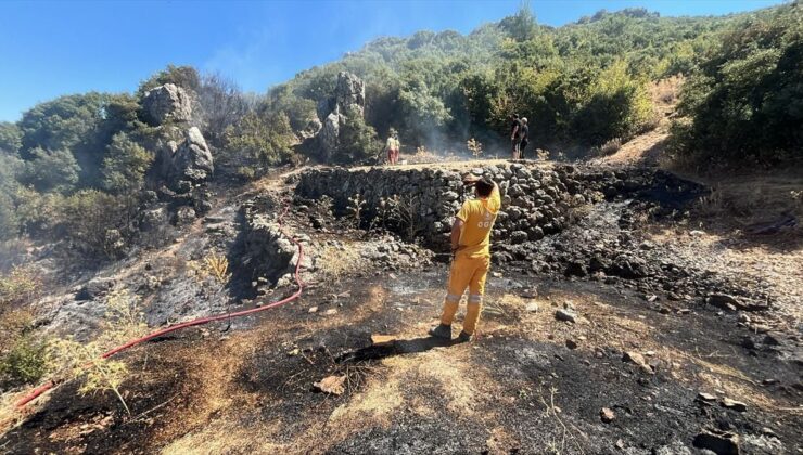 Kemalpaşa’da makilik alanda çıkan yangın kontrol altına alındı
