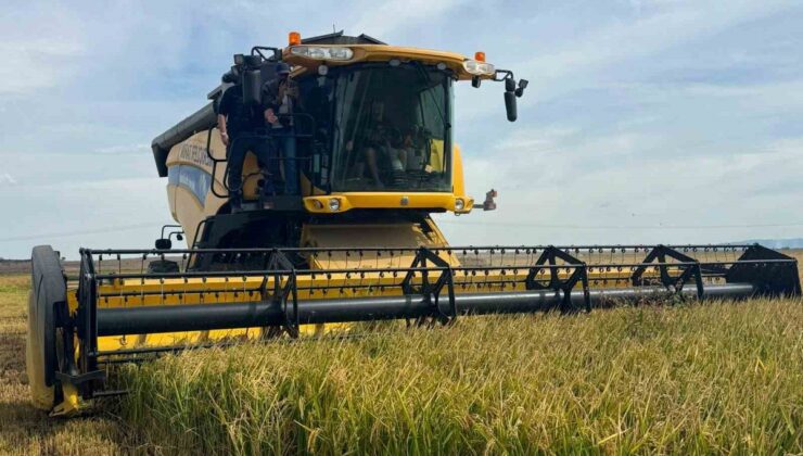 Keşan’da çeltik hasadı başladı, üretici maliyetleri karşılayacak fiyat bekliyor