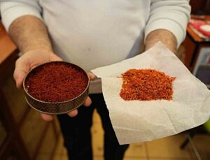 Kilosu 900 bin liraya çıkan ‘sarı altın’! 150 bin çiçekten ancak 1 kilo safran elde ediliyor