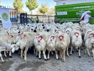 Kırşehir’de besicilere 100 damızlık koç ile 400 yemlik suluk dağıtıldı