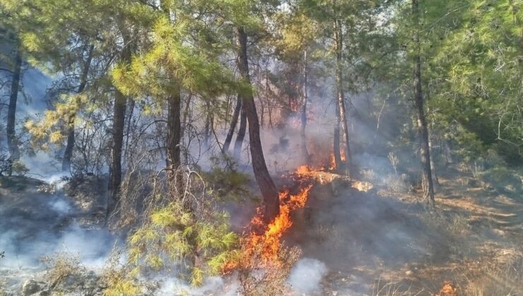 Manavgat’ta Orman Yangınına Müdahale