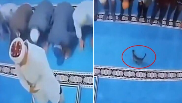 Namazda akılalmaz olay! Tekmelediği kedi imamın başına çarptı