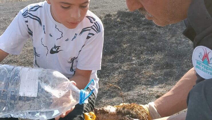Nevşehir’de itfaiye eri yangından kurtardığı kirpiye su verdi