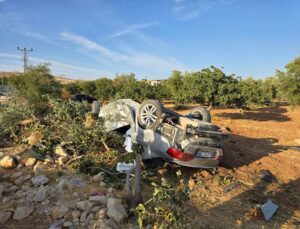 Nizip’te araç fıstık bahçesine devrildi, 16 yaşındaki çocuk öldü, 6 kişi yaralandı