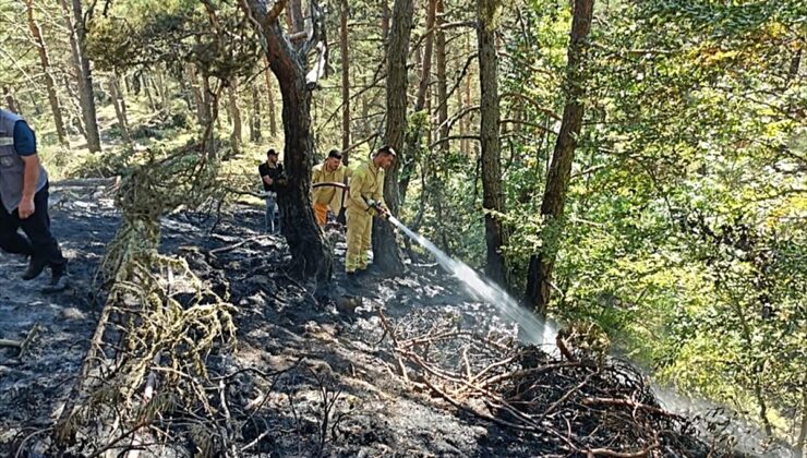 Ordu’da çıkan örtü yangını söndürüldü