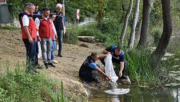 Ordu’daki göl, gölet ve barajlara 80 bin yavru sazan bırakıldı