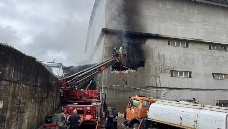 Rize Çayeli’de çay fabrikası deposundaki yangın itfaiye ekiplerince söndürüldü