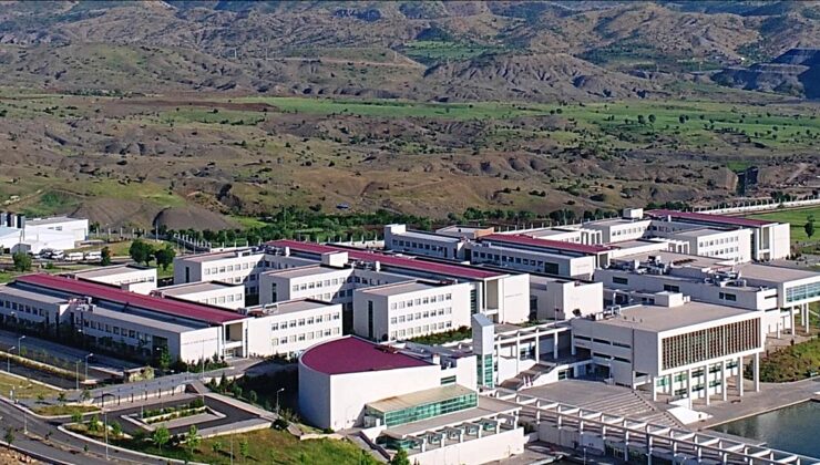 Sayıştay, Şırnak Üniversitesi kadro ilanlarında adayı tanımlayan şartlar tespit etti