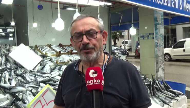 Sinop’ta balıkçılar ‘askıda balık’ ile 150’nin üzerinde balık dağıttı