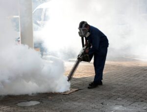 Sri Lanka’da yıl başından bu yana 100 binden fazla dang humması vakası ve 77 ölüm var