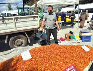 Taşova’da Kuşburnu Pazarı İlgi Görüyor