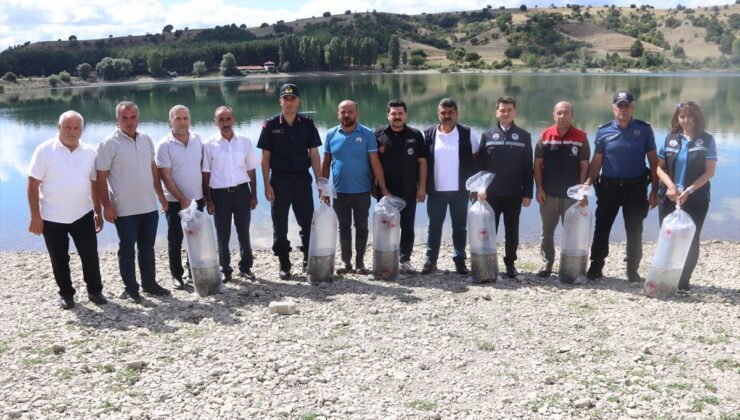 Taşova’da Uluköy Barajı’na 75 bin sazan yavrusu bırakıldı