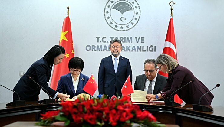 Türkiye ile Çin arasında “defne yaprağı” ihracatı için protokol imzalandı