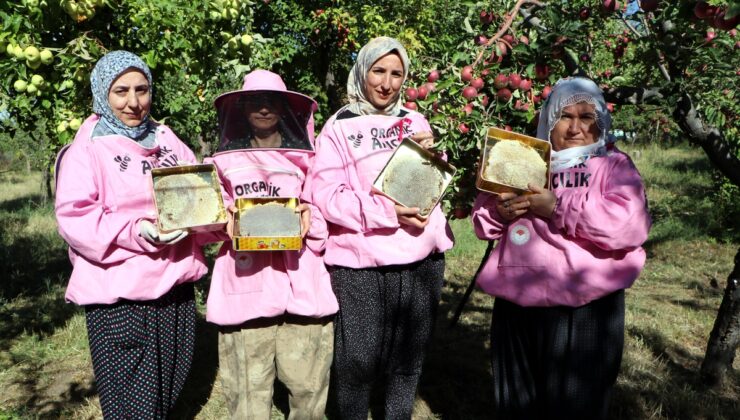 Van Gevaş’ta kadın arıcılar devlet desteğiyle kara kovan balı hasadına başladı
