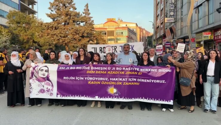 Van’da kadınlar Rojin Kabaiş için yürüdü, Rojin’in babası milletvekillerine seslendi