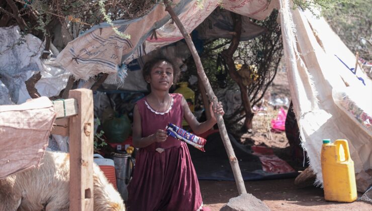 Yemen’de çatışmalar nedeniyle Taiz ve Lahic’te bir günde 2 bin 398 aile yerinden edildi