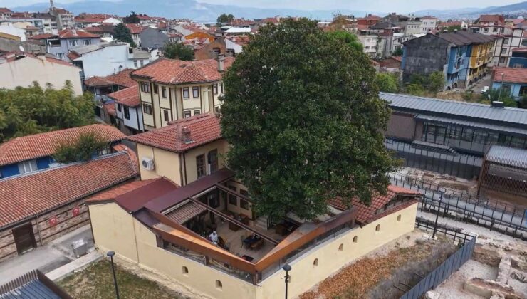 Zeki Müren’in Manolyası 300 Yıldır Yaşıyor