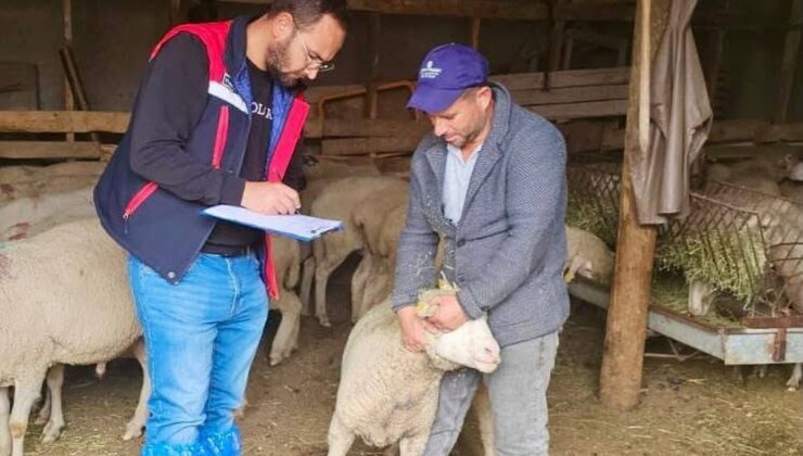 Afyonkarahisar Bayat’ta Sürdürülebilir Koyun Projesi işletmelerinde denetim yapıldı