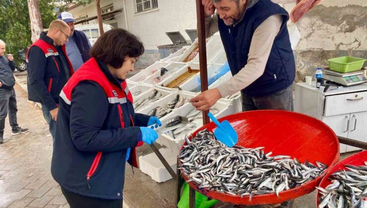 Afyonkarahisar Dazkırı’da balık satış noktaları Tarım Müdürlüğünce denetlendi