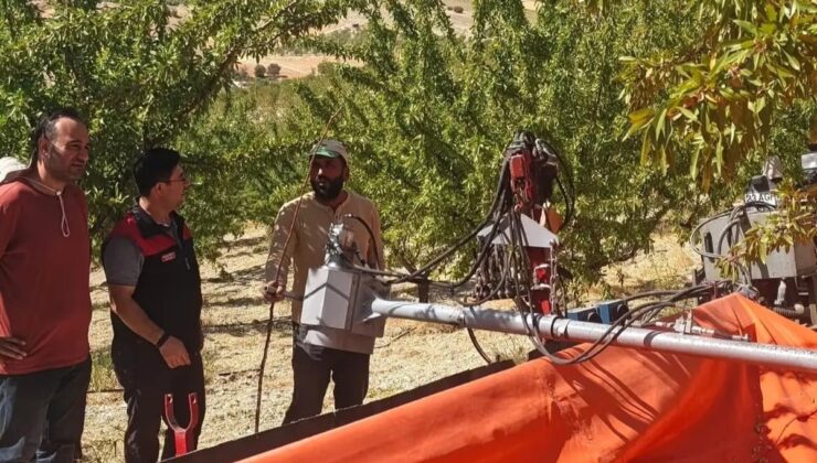 Ağın’da Tarım ve Orman ekipleri badem üreticilerini hasat konusunda bilgilendirdi