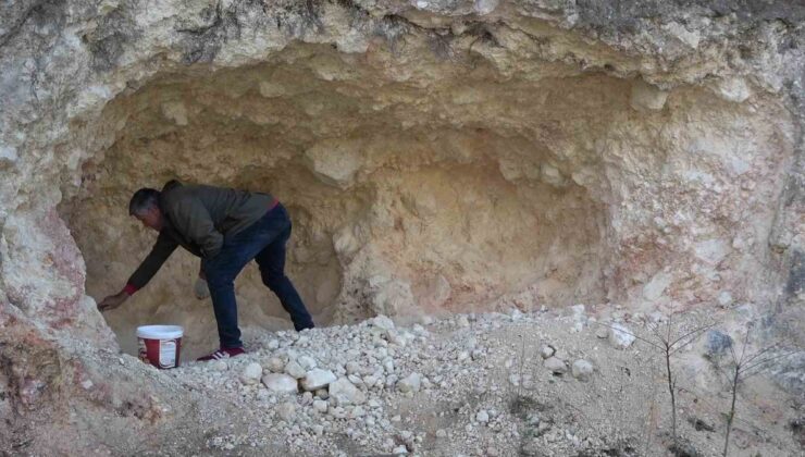 Amasya’da pekmez için dağları oyan köylüler kadın erkek birlikte üretiyor