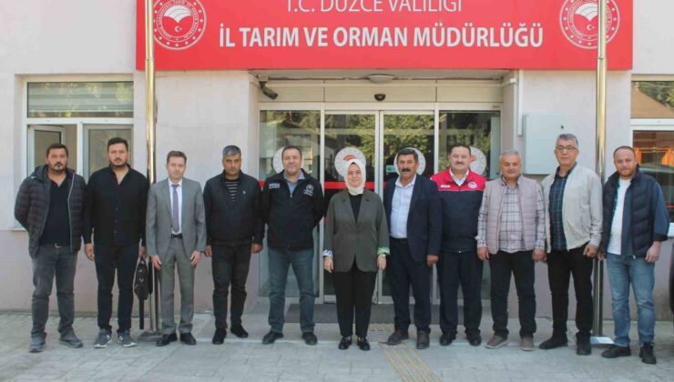 Anadolu mandası ıslah projesinin 2026 değerlendirme toplantıları Düzce’de yapıldı