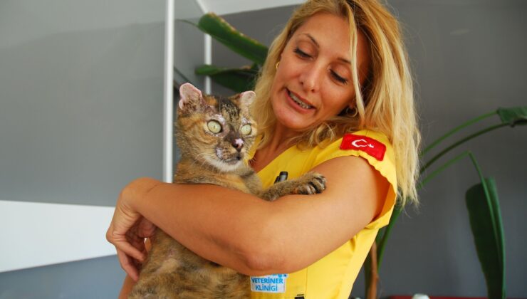 Antalya Kumluca’da yangında yanan kedi Luna, 2 aydan fazla tedaviyle sahibine kavuştu
