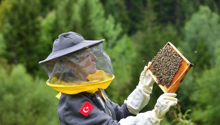 Artvin’de apiturizm projesi kapsamında Şavşat Maden köyünde saha incelemesi yapıldı