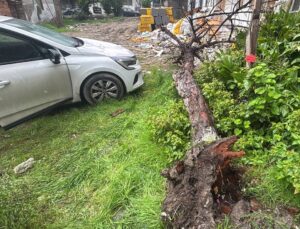 Bağcılar’da yağış ve rüzgarın devirdiği ağaç park halindeki otomobile hasar verdi