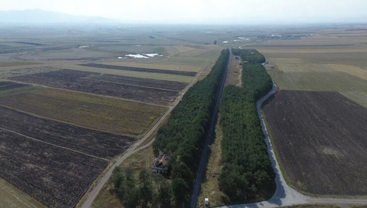 Bakan Kurum, Kars Selim’deki Benliahmet İstasyonu’nda 55 yıllık çam ormanını paylaştı