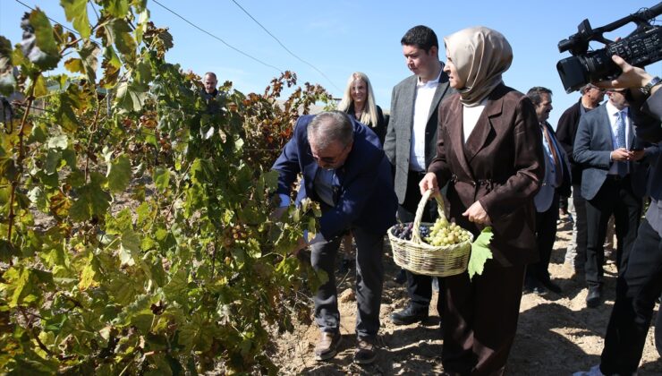 BBP lideri Destici, Eskişehir Günyüzü’nde yaklaşık 820 yıllık köyde üzüm topladı