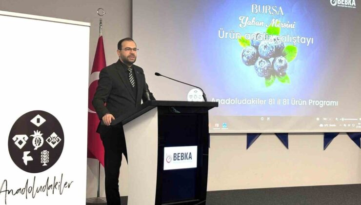 BEBKA çalıştayının çıktıları Bursa yaban mersinine yol haritası olacak