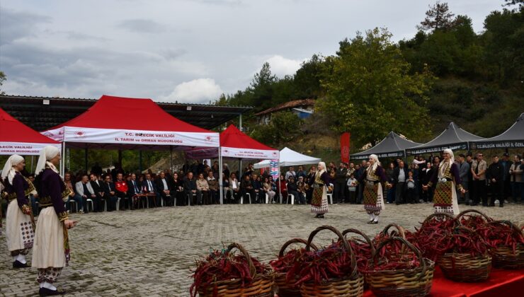 Bilecik’te 5. Çukurören Biberi Festivali’nde tescilli biber tanıtıldı
