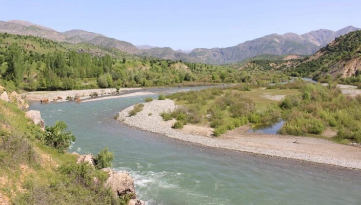 Bingöl İdare Mahkemesi, Birsu HES’in ÇED Olumlu kararını iptal etti