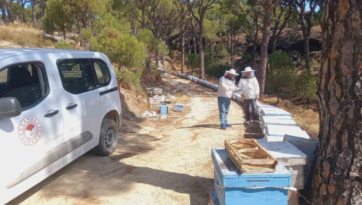 Bozdoğan’da arılı kovan desteği alacak üreticiler için tespit ve güncelleme sürüyor