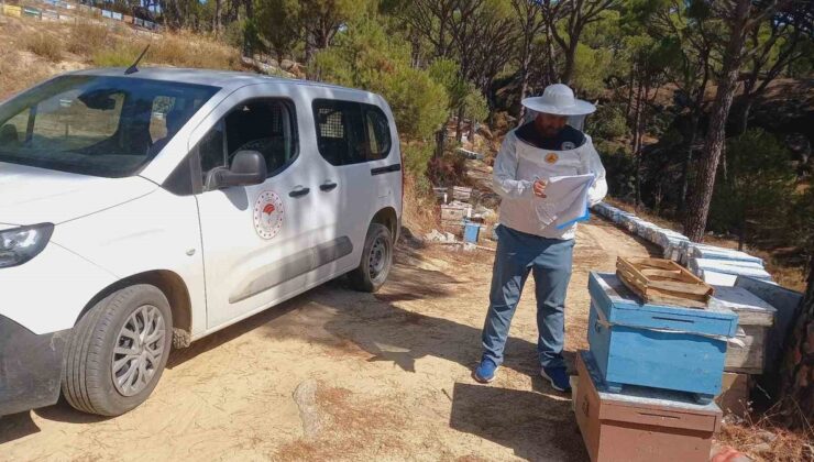 Bozdoğan’da arılı kovan desteği için kovan kayıt güncelleme çalışmaları sürüyor
