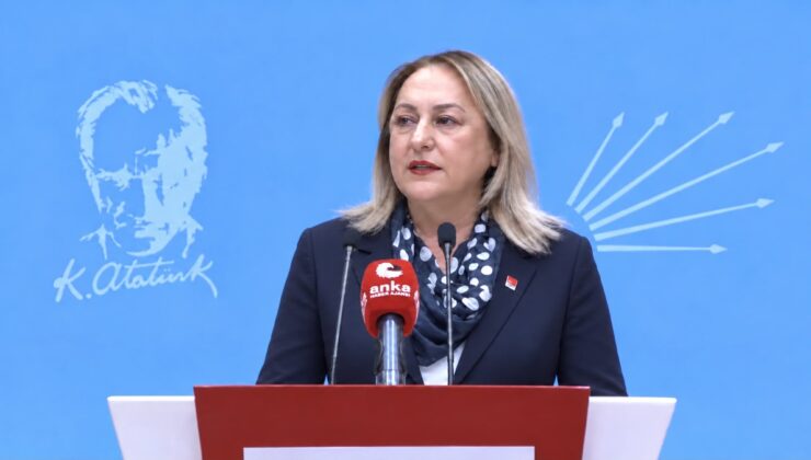 CHP Kadın Kolları Genel Başkanı Gülsever, 100 çocuktan 37’sinin yoksulluk riskini anlattı