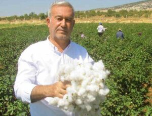 ÇUKOBİRLİK 2026-2027 sezonu St1 kütlü pamuk alım fiyatını 41,50 TL olarak açıkladı