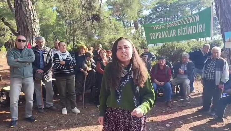 Danıştay 6. Dairesi Akbelen Ormanı’ndaki 679 parsel için açılan davayı reddetti