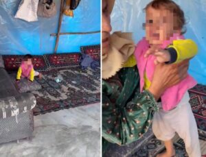 Dehşete düşüren görüntü! Videoyu izleyenler bakanlığı etiketliyor