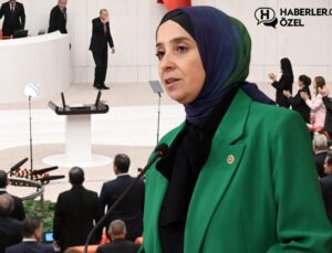 DEVA Partisi, Cumhurbaşkanı Erdoğan’ı ayakta karşılayacak mı? Elif Esen kararını açıkladı
