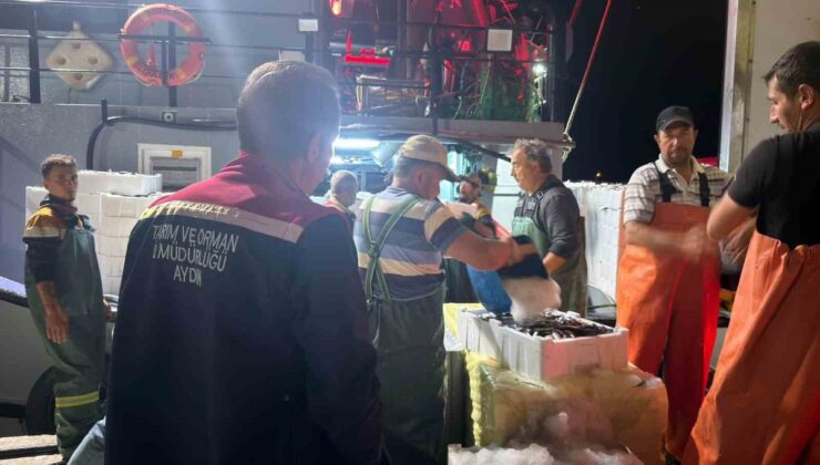 Didim’de hamsi kotası denetiminde balıkçı tekneleri tek tek kontrol edildi